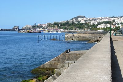 The Port, Funchal - Madeira
