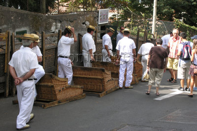 Basket sliding, Funchal - Madeira