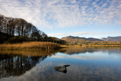 Elter Water, Lake District,  Cumbria.