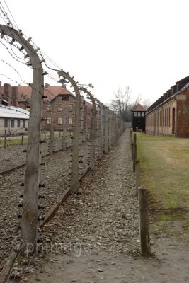 The outer Fence,   Auschwitz,   Poland.