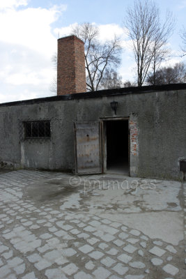The Gas Chamber,  Auschwitz,   Poland.