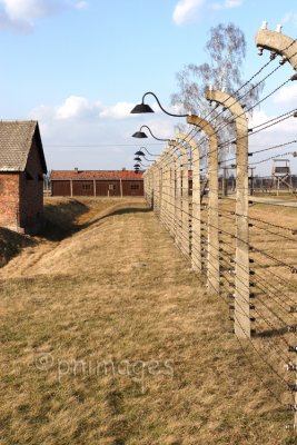 Electric Fence,   Birkenau,   Poland.
