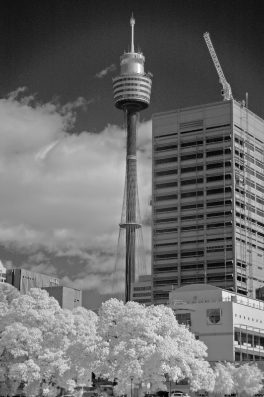 CENTRE POINT TOWER SYDNEY.