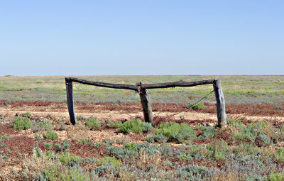 Strainer posts on the fence to nowhere.