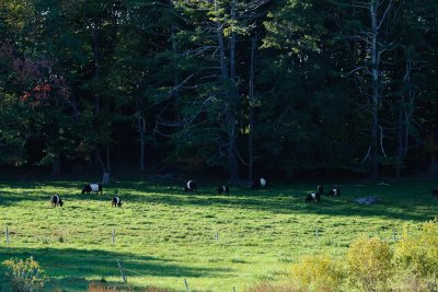 Maine 2010