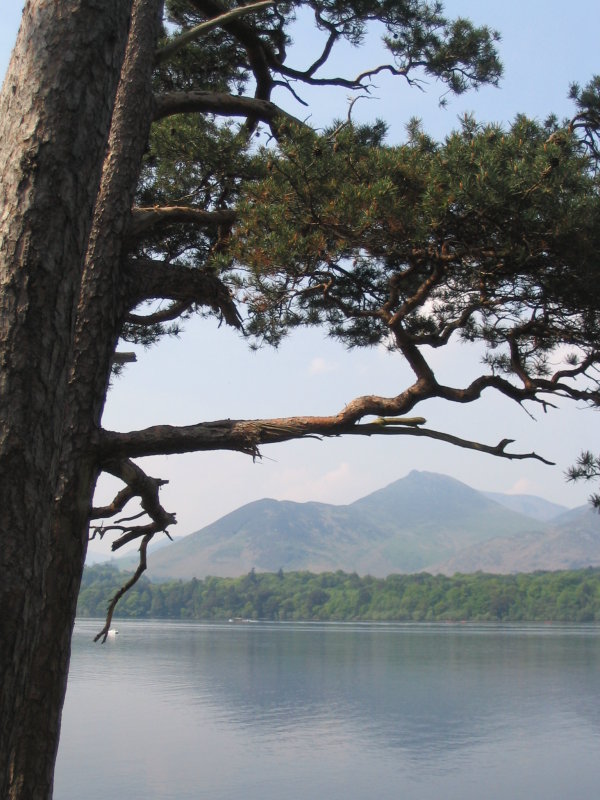 Derwent Water, Cumbria