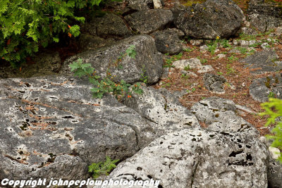 Tobermory-58.jpg