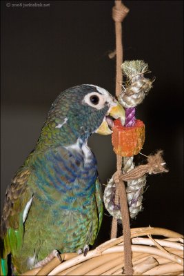 g1/80/727980/3/126925408.rjTUzYNn.jpg