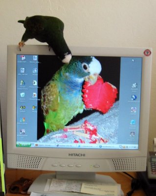 g1/80/727980/3/126927538.OOQNT9uM.jpg
