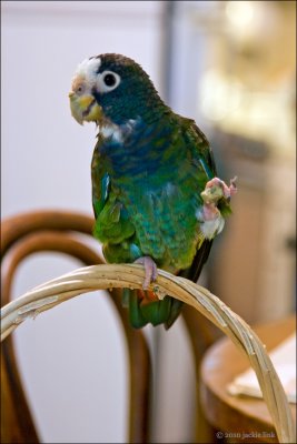 g1/80/727980/3/131537392.Z1CItrAJ.jpg