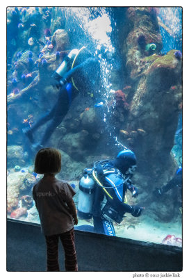 Steinhart Aquarium-child & divers.jpg