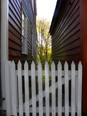 Fenced Alley
