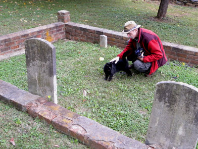 Black Cat in the Cemetery