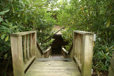 Walkway to the cabin