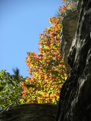 Signs of Autumn at Pilot Mountain