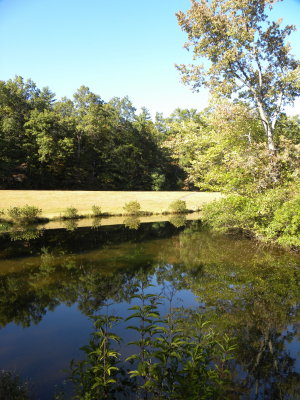 Little Glade Mill Pond