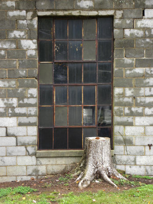 Window, Cinderblocks & Stump