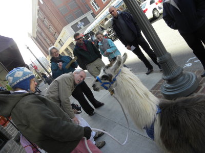 Mike and the Llama