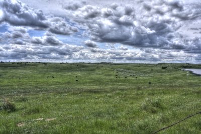 North Dakota Short Grass Prairie