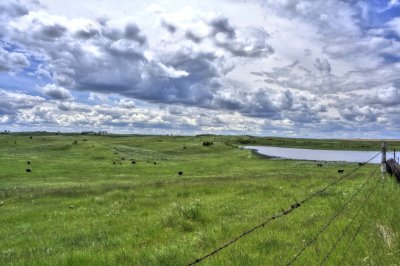 North Dakota Short Grass Prairie  Another View