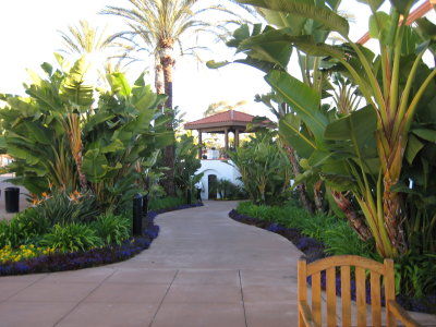La Costa Resort