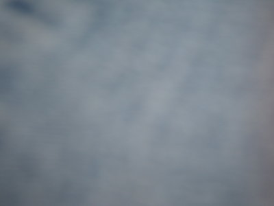 DSCN0310.JPG