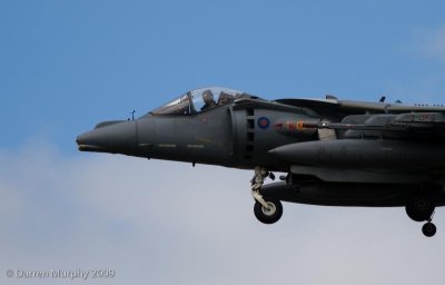 RN Harrier