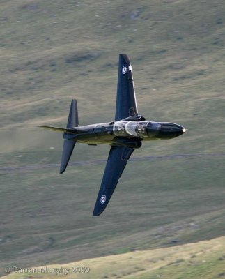 Hawk T1