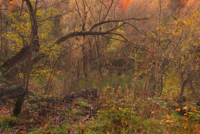 Pastels of Arrow River's Autumn