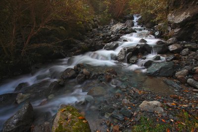 Eglinton's Melodious Cascades