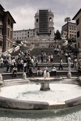 IMG_9306.jpg