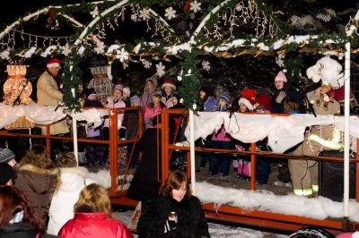 Tree_Lighting-3048.jpg