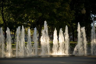 Wunsch_20100930_7022654.JPG