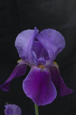 g1/80/779780/3/93336118.hRtogsih.jpg