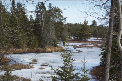 Spring Thaw