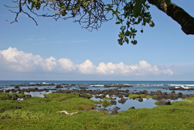 Kona Shoreline