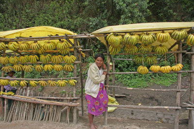 Banana Seller