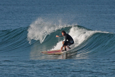 Paniau Surfer