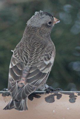 g1/80/793480/3/109264408.yJKAWCao.jpg