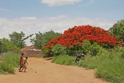 Madagascar, November 2008