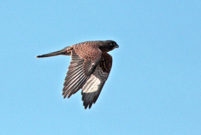 g1/80/793480/3/111468413.eHOYhMnR.jpg