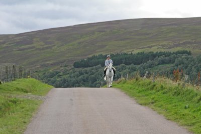 g1/80/793480/3/116654206.uu5kWDf7.jpg