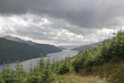 View down Loch Long from the hillside