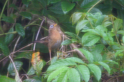 g1/80/793480/3/129102486.TFdF2hxp.jpg