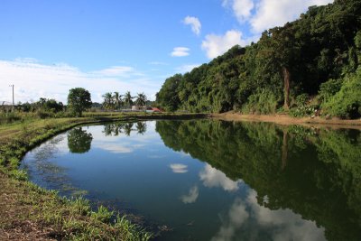 Malakai Sewage Treatment Pond