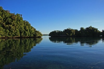 Morning on the Lagoon