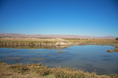 Sultansazlıgı Bird Sanctuary