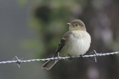 g1/80/793480/3/93685172.nMqJHOqj.jpg
