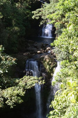 Rara Avis waterfall