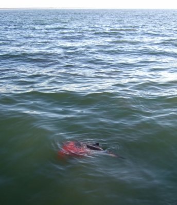 DSCF6473.jpg